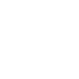 Magnetikmedia